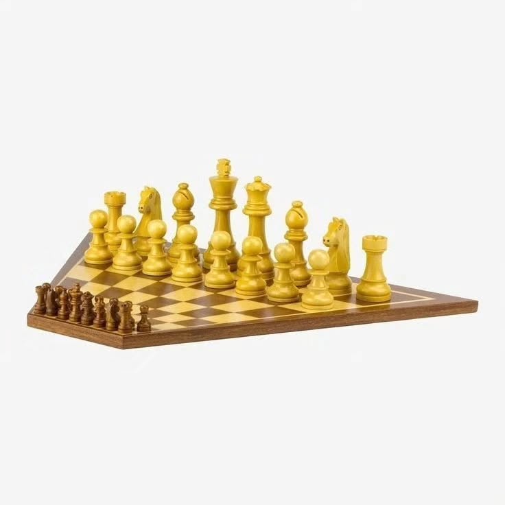 457618336_1054189976306061_1344082172756023229_n