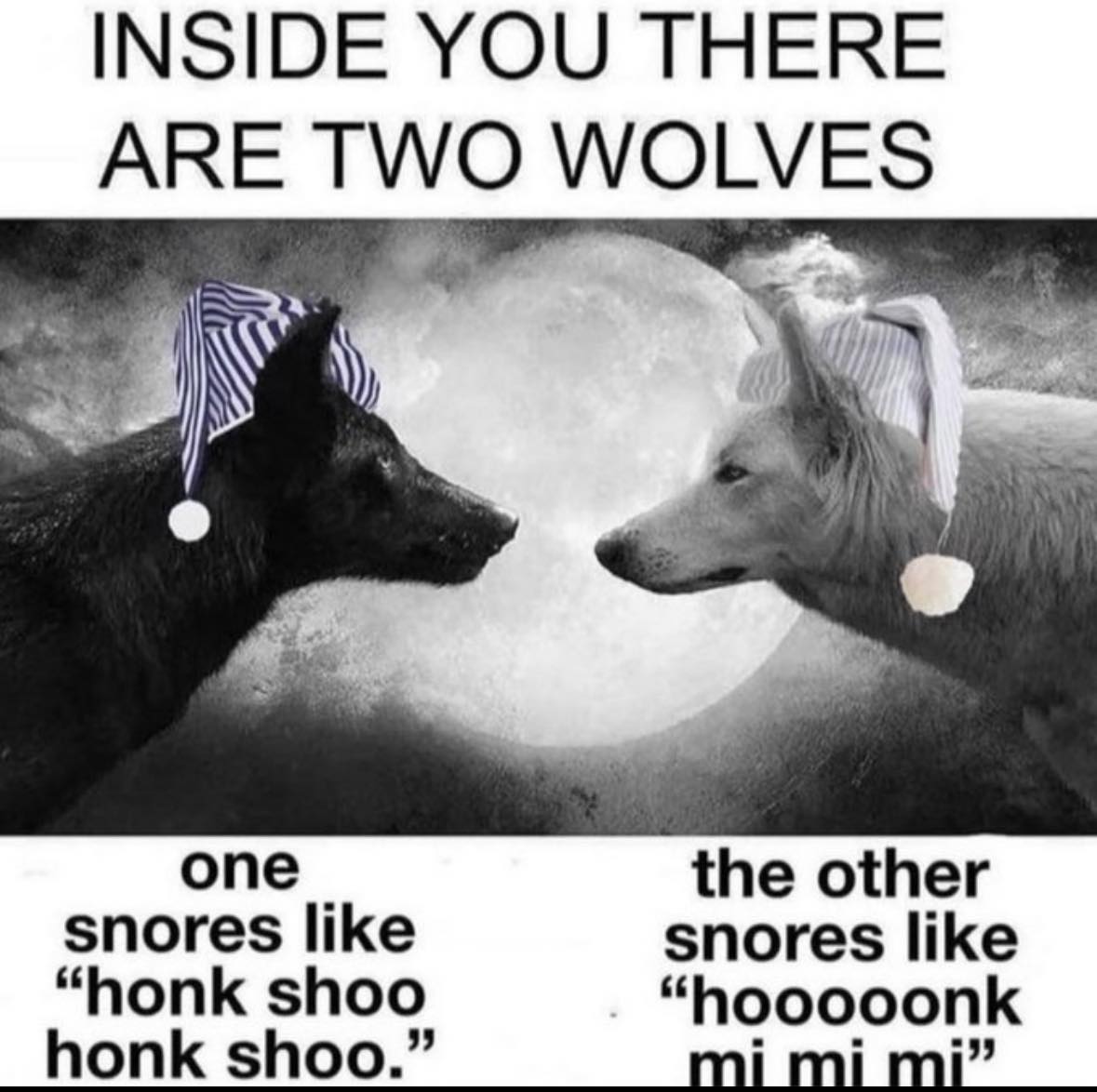 472100502_1175216873969730_3980750889469200347_n