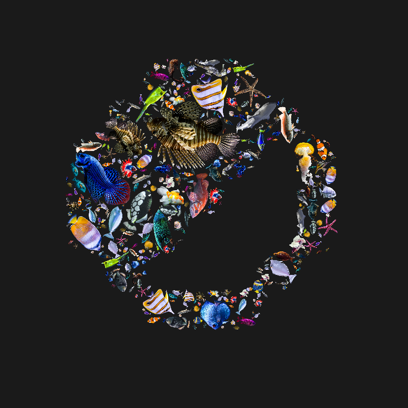 oceantest