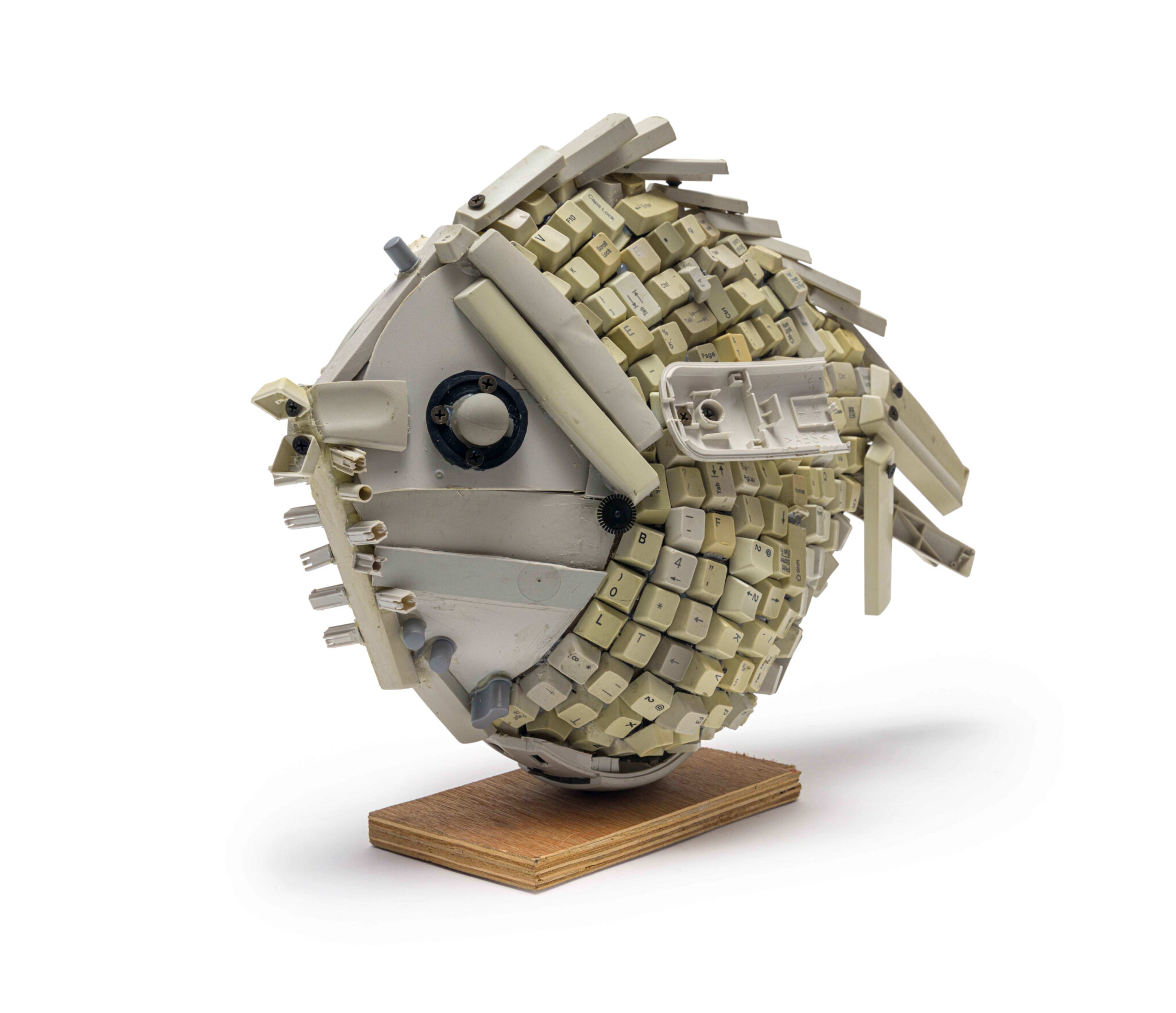 maurice-mbikayi-web-fish-i-tdzq1e