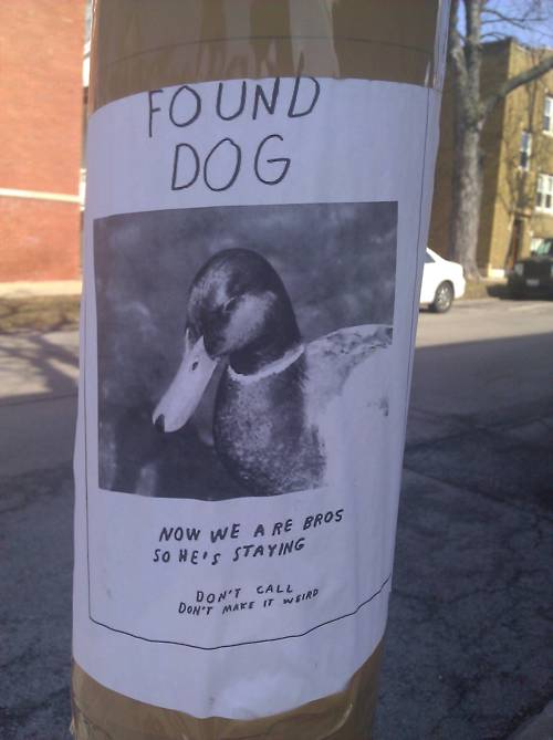 1422331699706