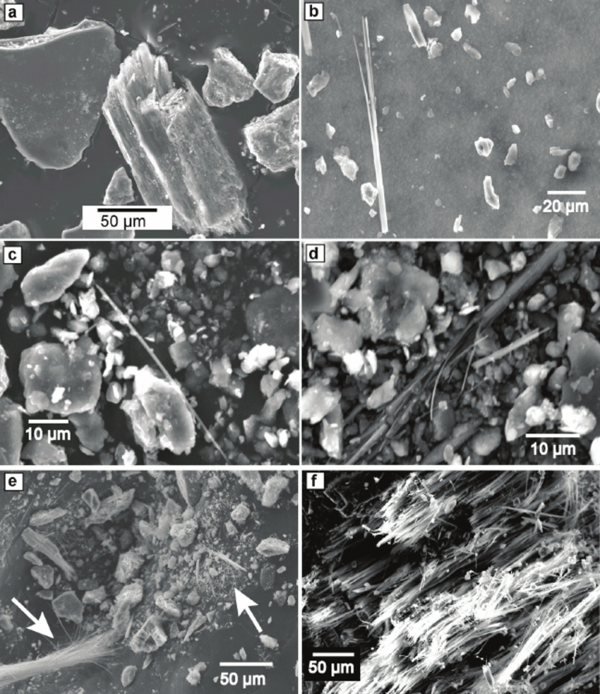 Fig 5 Scanning Electron Microscope Images a Amphibole Crystal with Frayed Ends