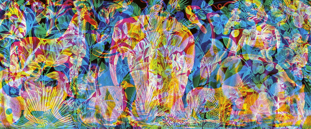 Jungla 1 Black